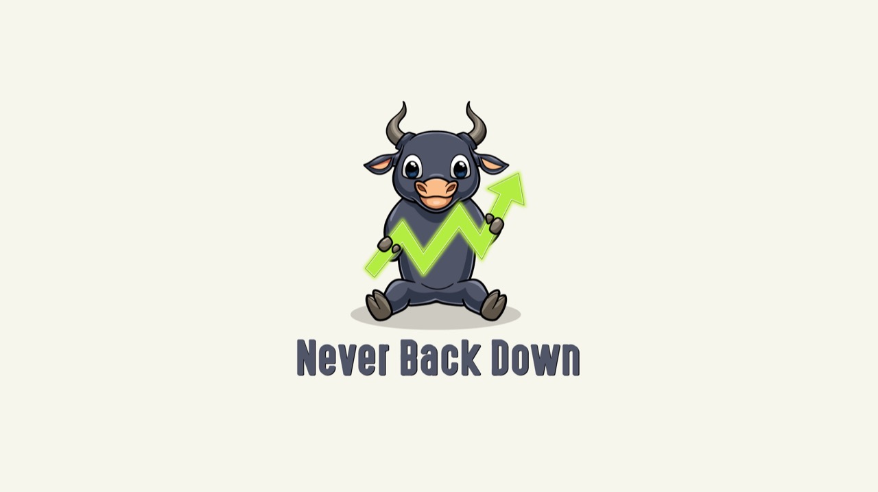 Never Back Down: The Revolution of Crypto Token